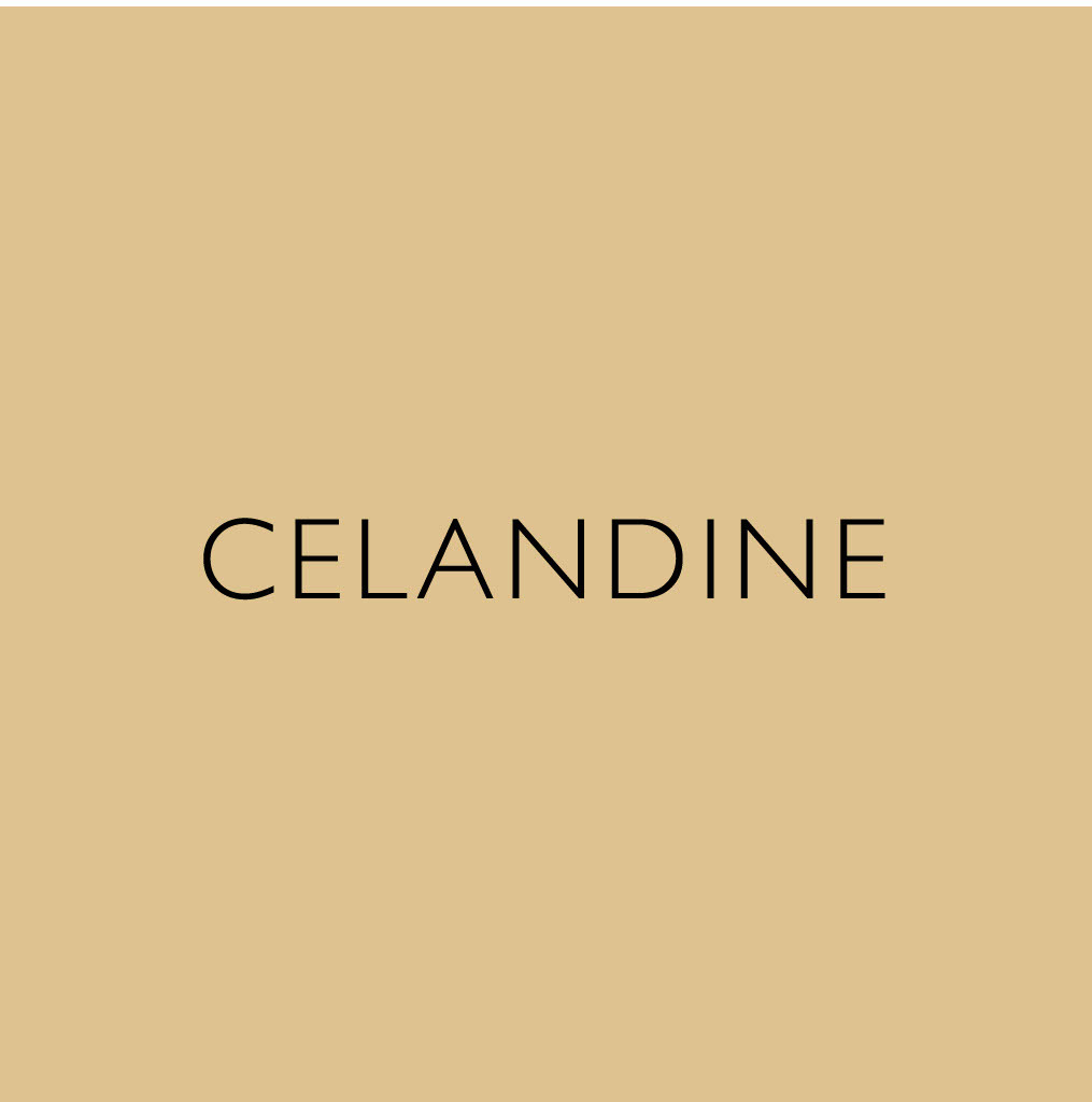 Celandine