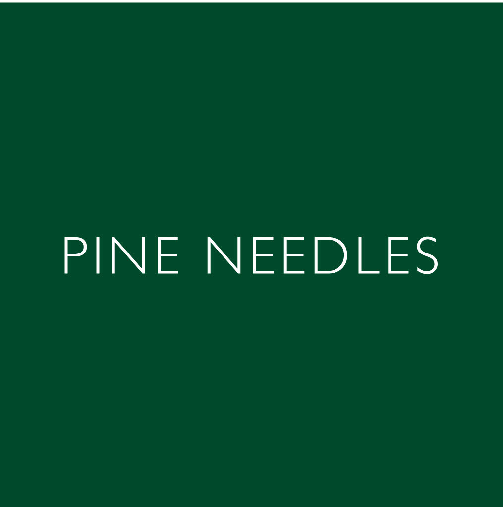 Pine needles