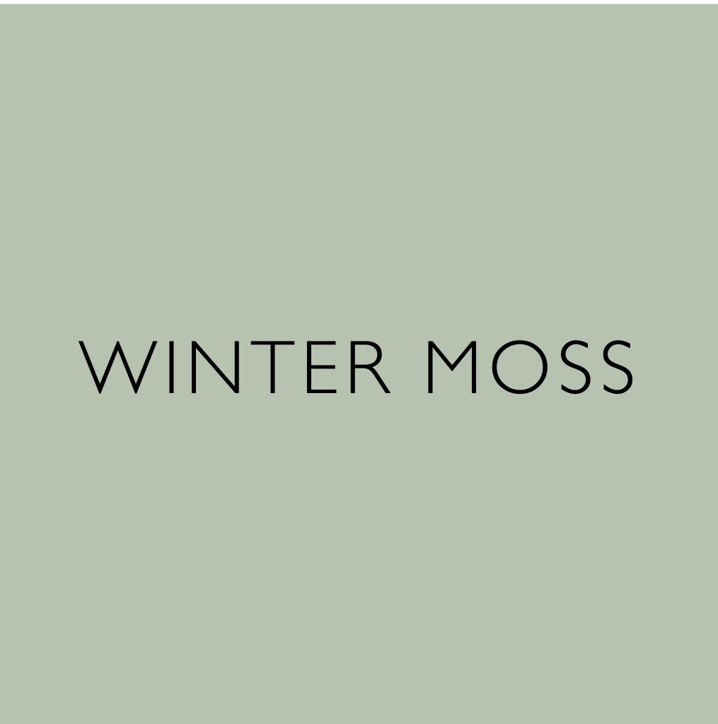 Winter Moss