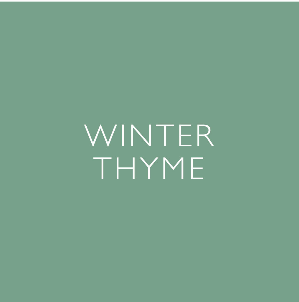 Winter Thyme
